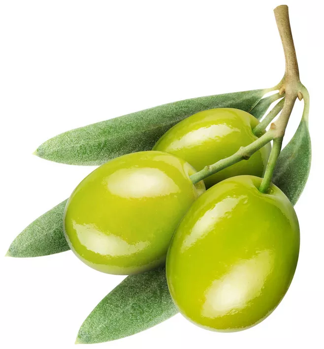 橄榄油非皂化物